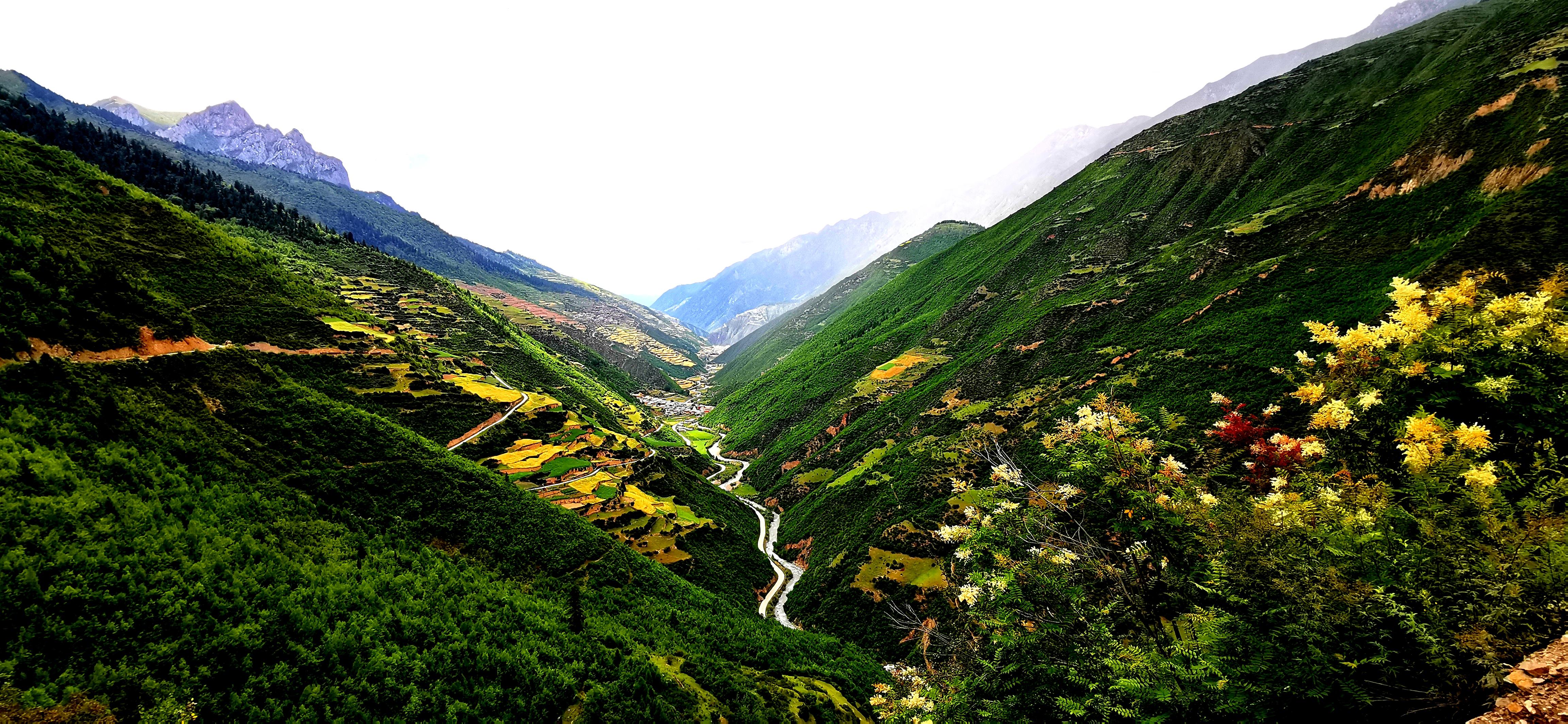 山顶体育直播，巅峰视界：山巅体育全景直播