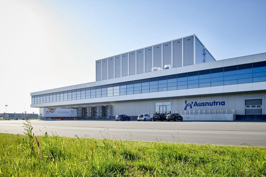 荷兰男子篮球职业联赛：荷兰职业男子篮球联赛新篇章