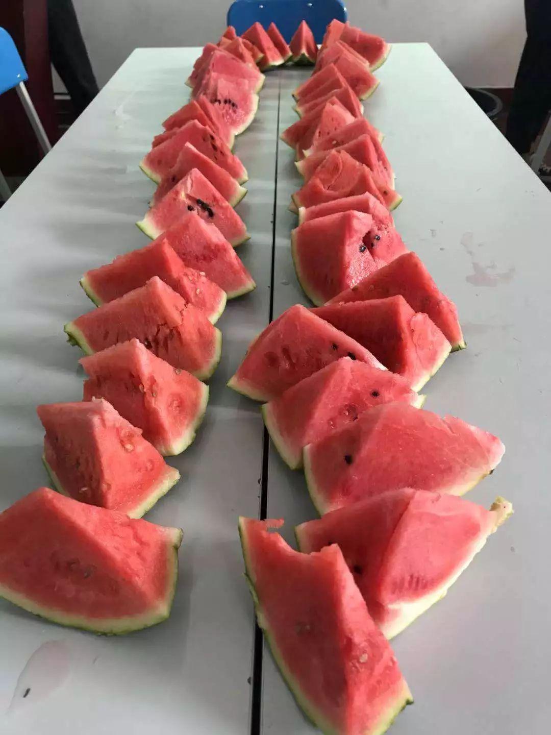 青鸟体育直播-青鸟体育：现场直击精彩赛事新体验